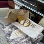 Dior Belt