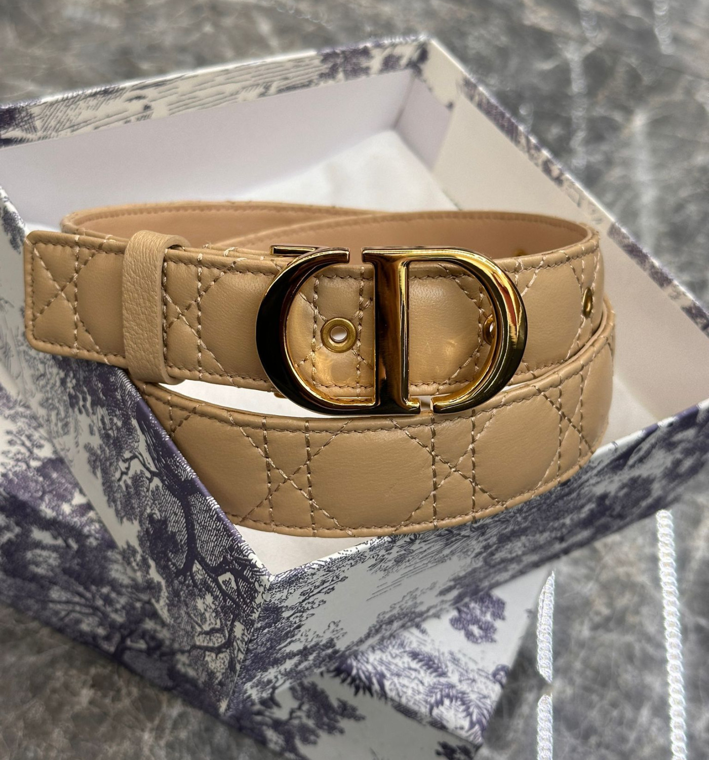 Dior Belt