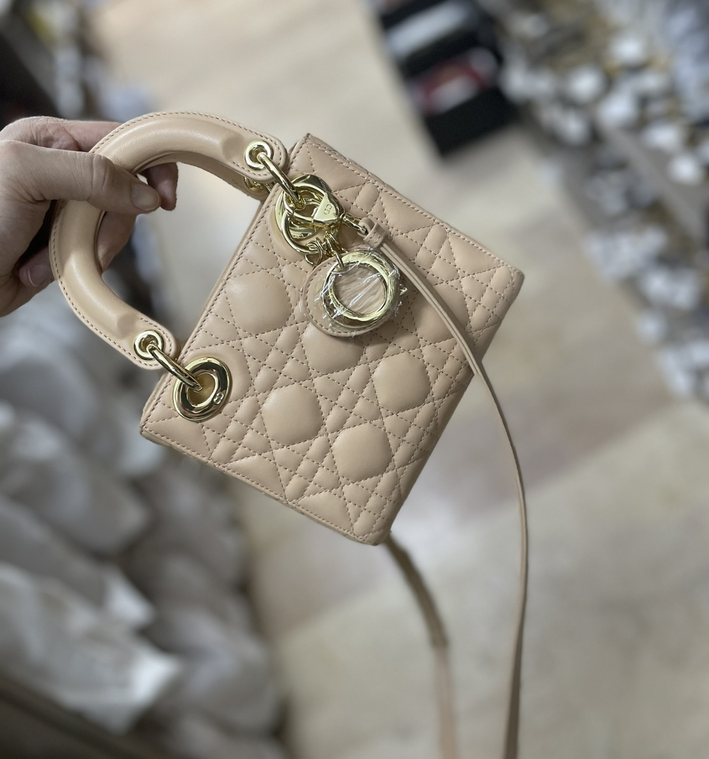 Mini Lady Dior Bag