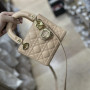 Mini Lady Dior Bag