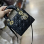 Mini Lady Dior Bag