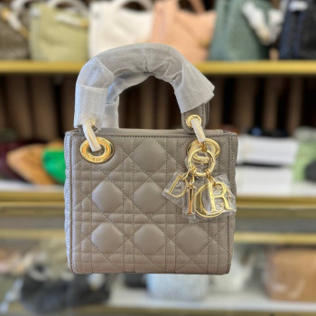 Mini Lady Dior Bag