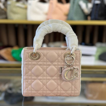 Mini Lady Dior Bag