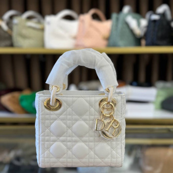 Mini Lady Dior Bag
